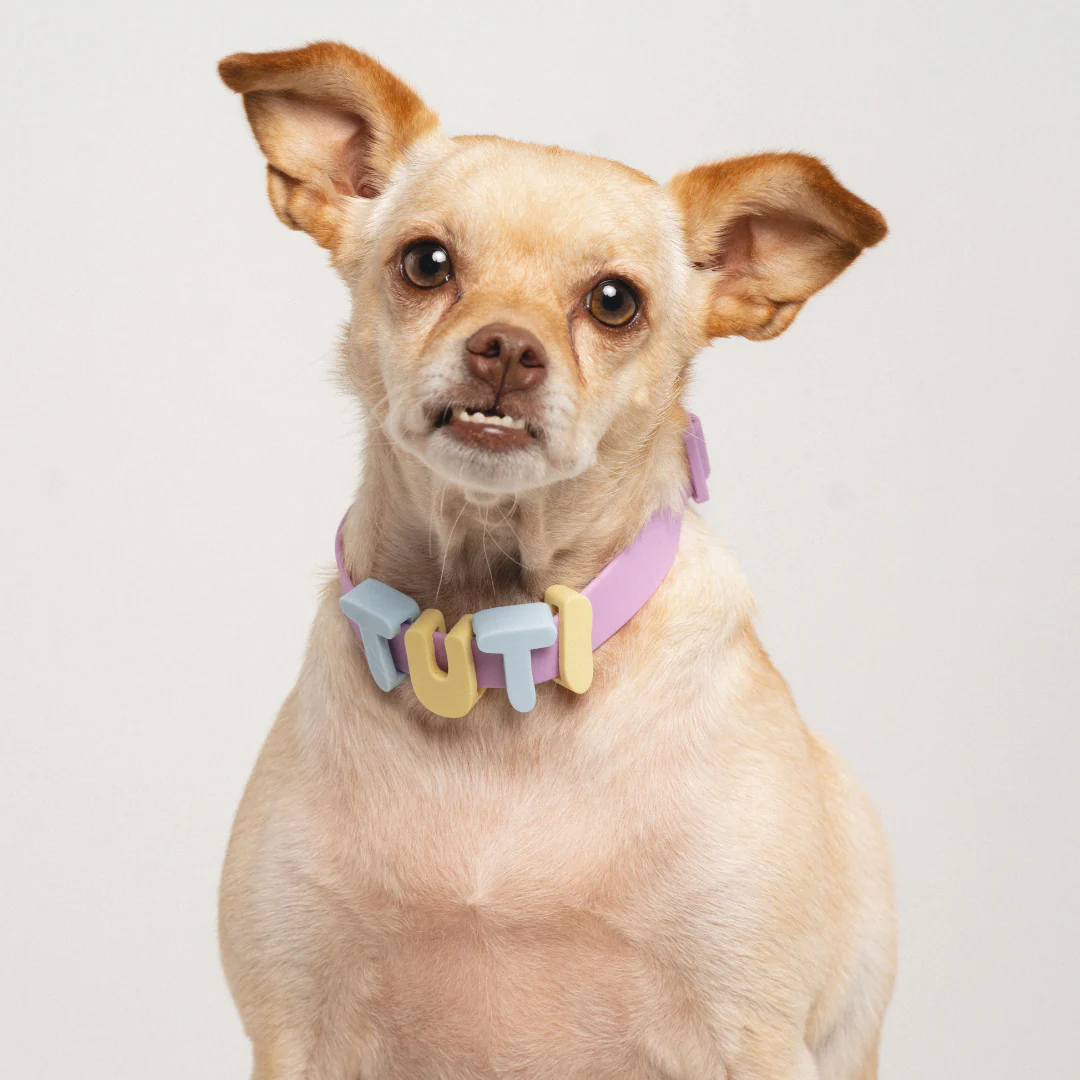 Waterproof Dog Collar - Image 24