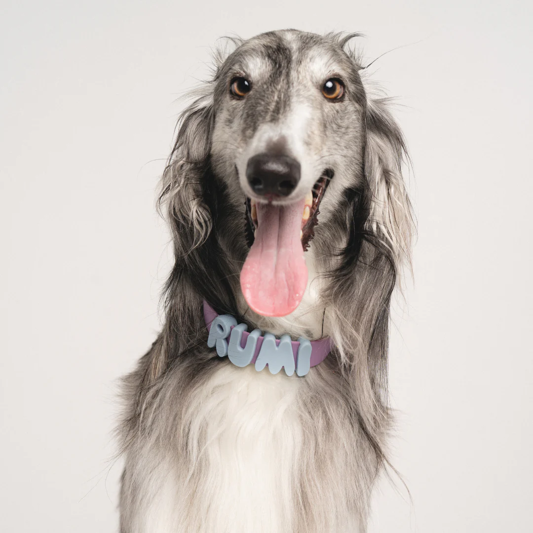 Waterproof Dog Collar - Image 25