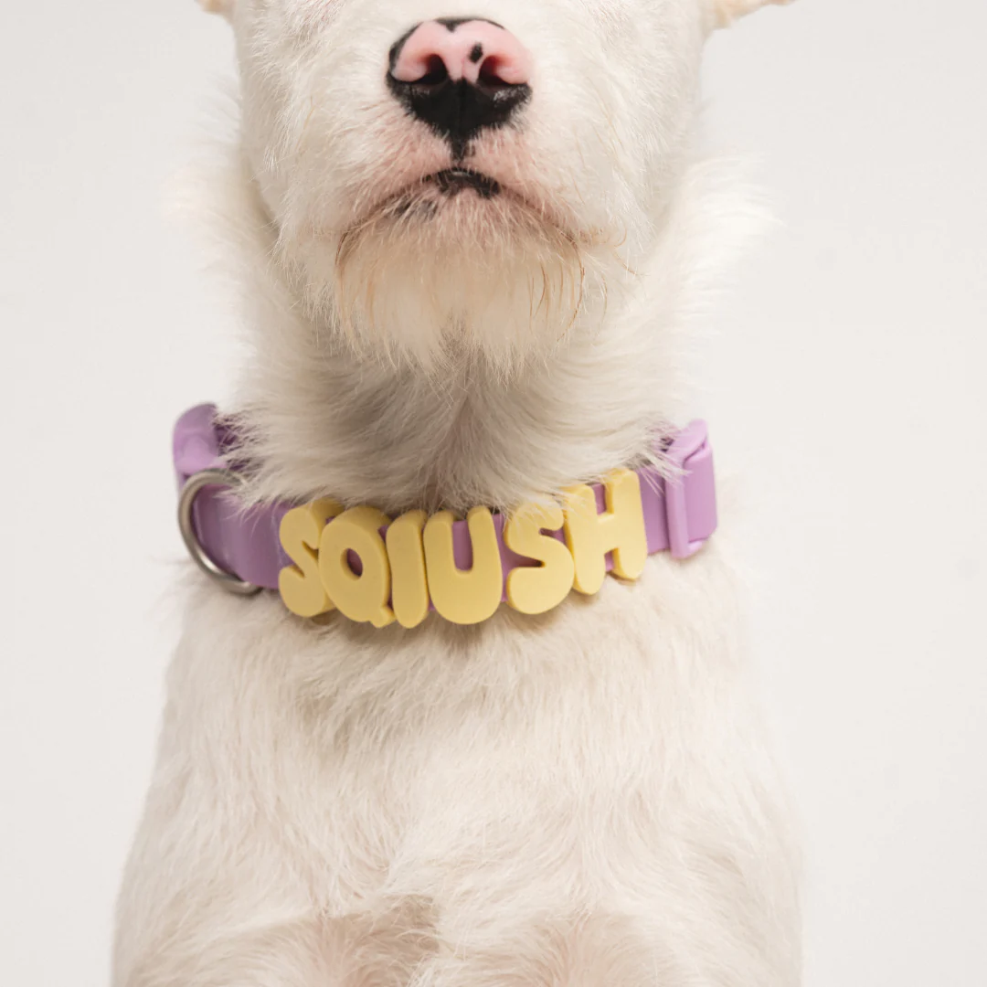 Waterproof Dog Collar - Image 27