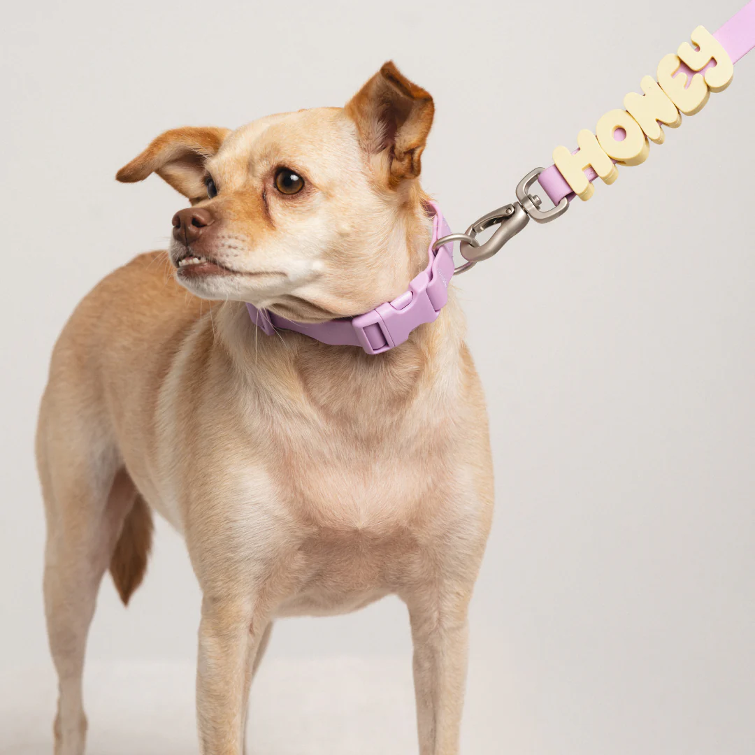 Waterproof Dog Collar - Image 28