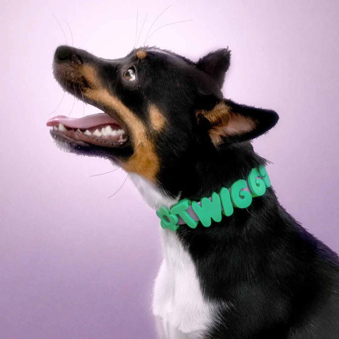 Waterproof Dog Collar - Image 29
