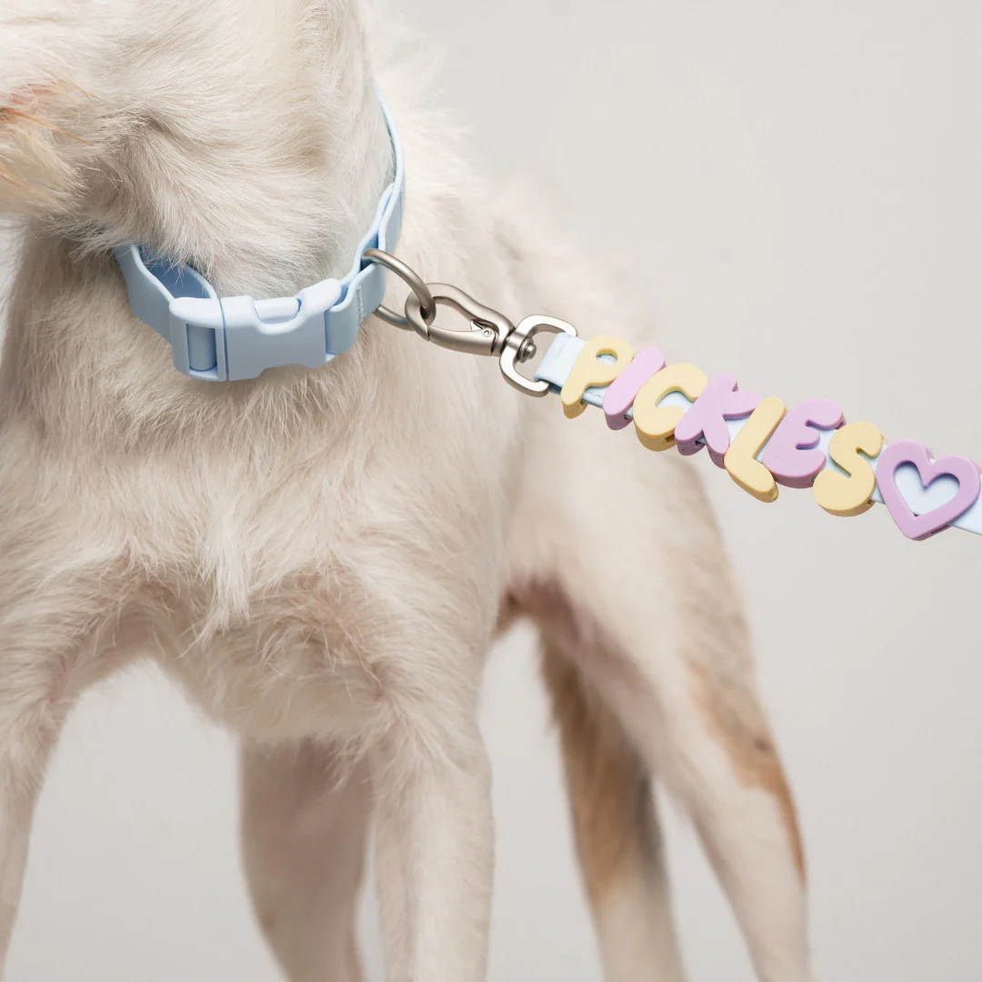 Waterproof Dog Collar - Image 34