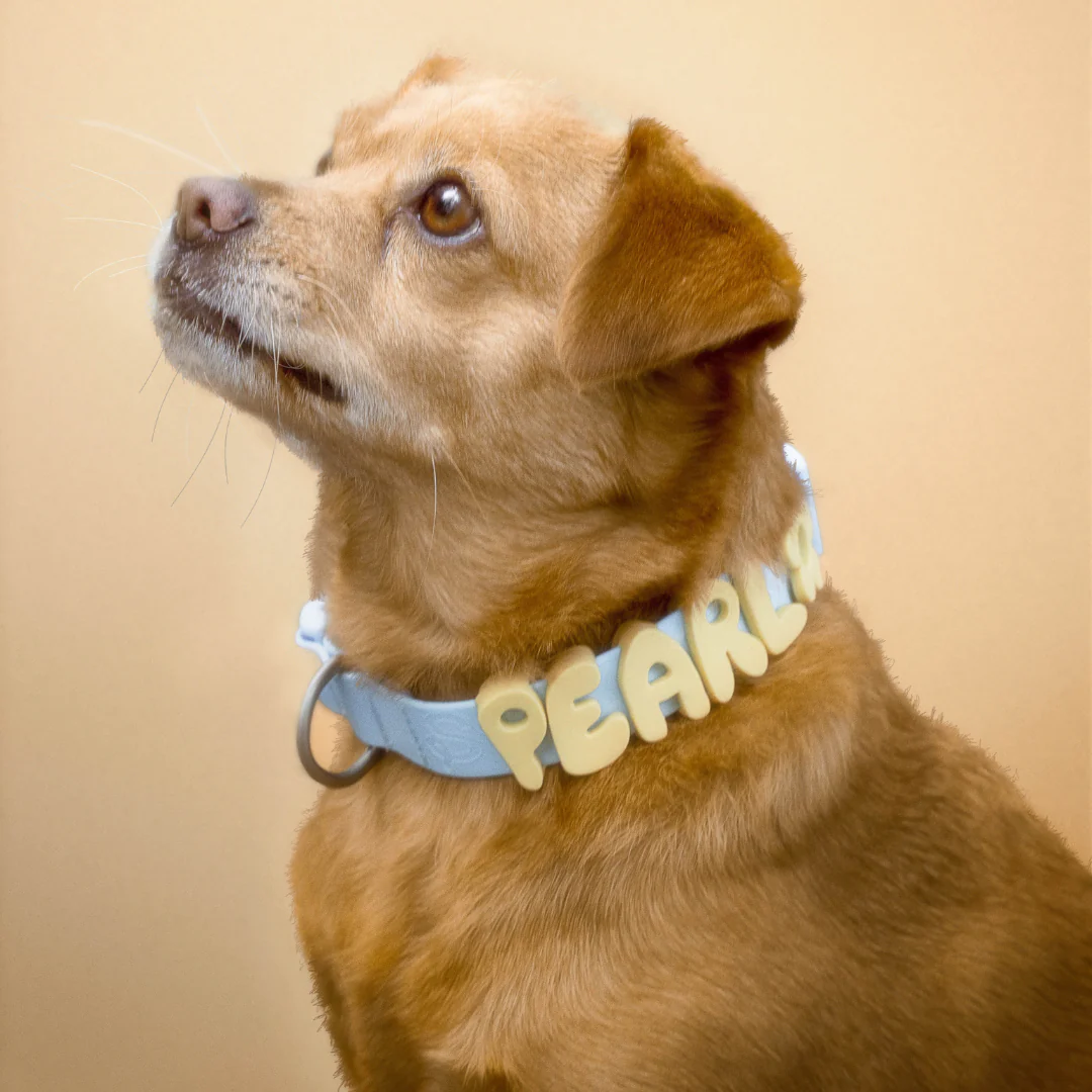 Waterproof Dog Collar - Image 36