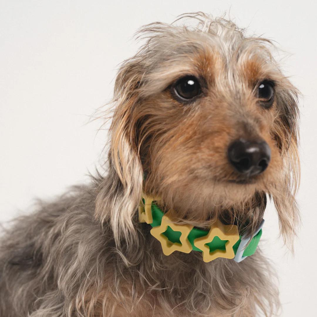 Waterproof Dog Collar - Image 6