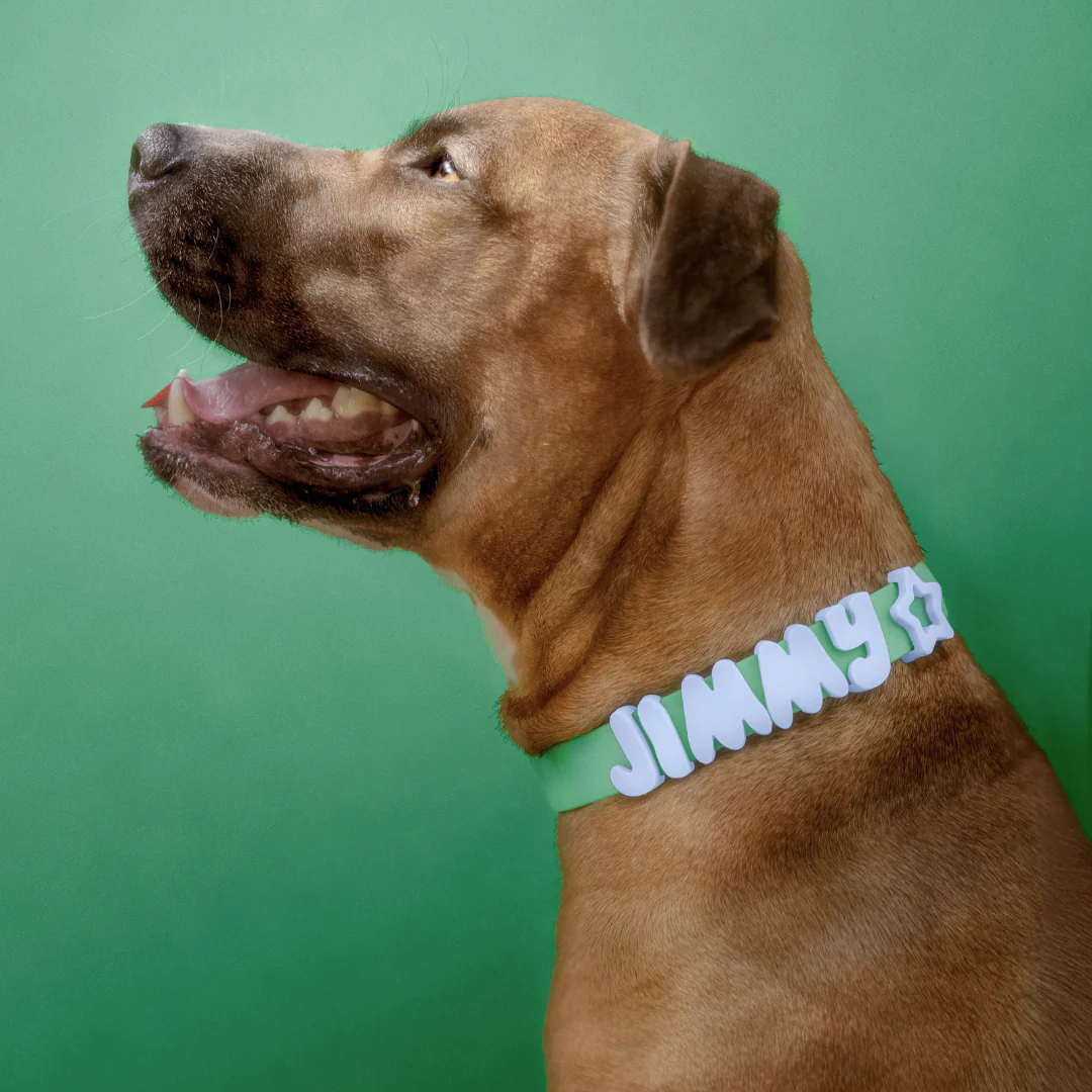 Waterproof Dog Collar - Image 8