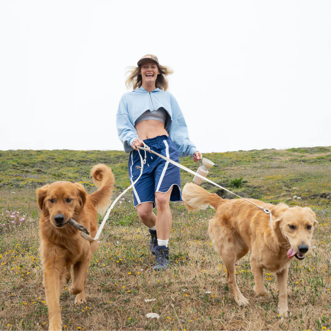 Waterproof Dog Leash - 5ft - Image 13