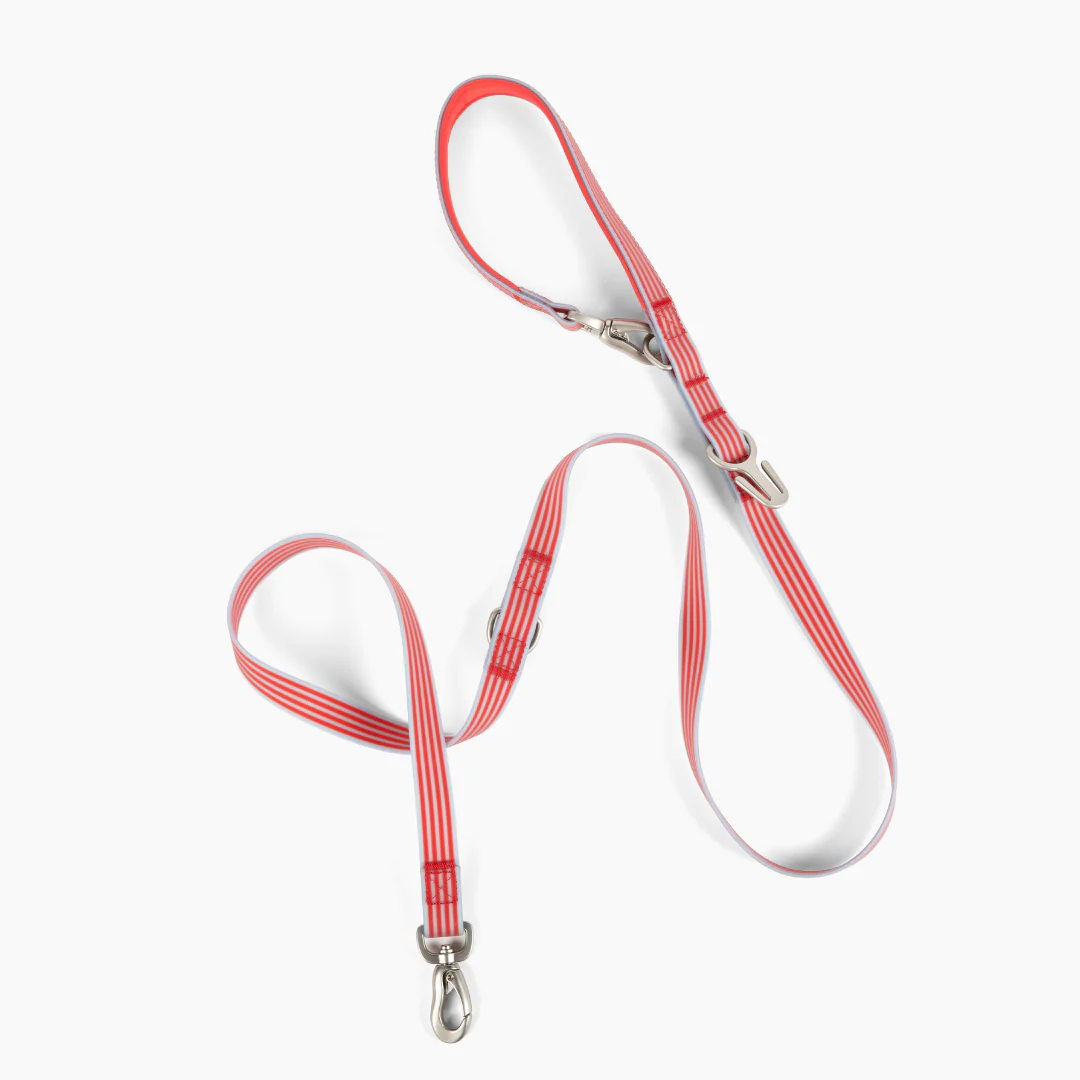 Waterproof Dog Leash - 5ft - Image 21