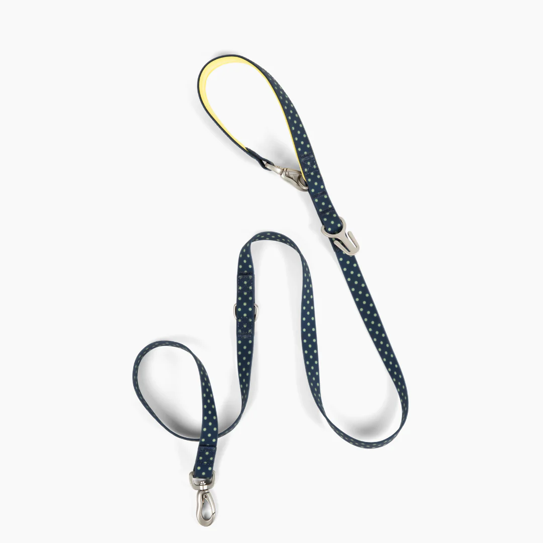 Waterproof Dog Leash - 5ft - Image 22