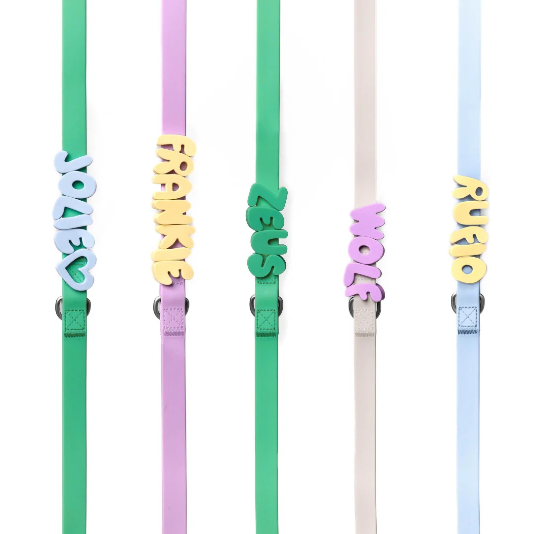 Waterproof Dog Leash - 5ft - Image 6