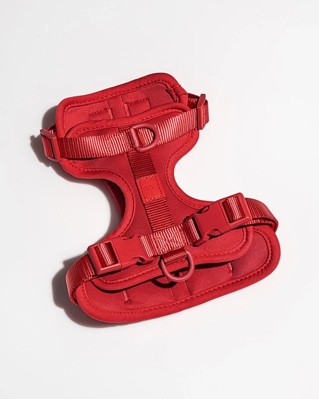 Wild One Adjustable Comfort Dog Harness - Image 14
