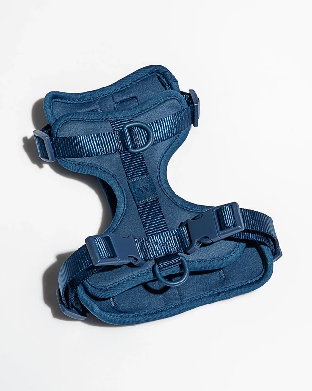 Wild One Adjustable Comfort Dog Harness - Image 16