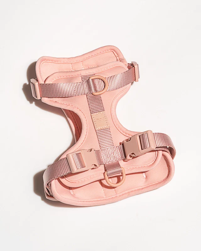 Wild One Adjustable Comfort Dog Harness - Image 21