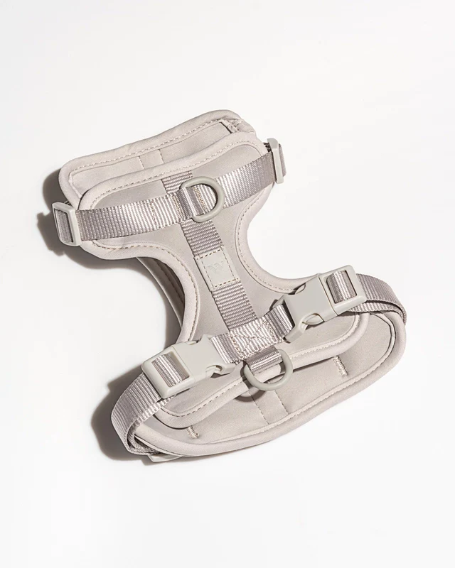 Wild One Adjustable Comfort Dog Harness - Image 23