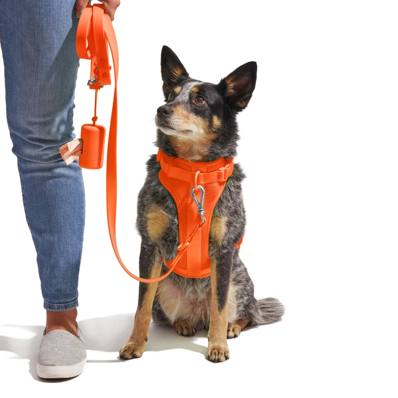 Wild One Adjustable Comfort Dog Harness - Image 24