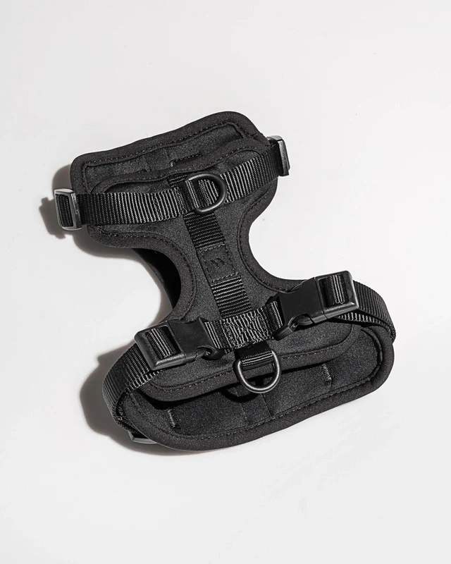 Wild One Adjustable Comfort Dog Harness - Image 25