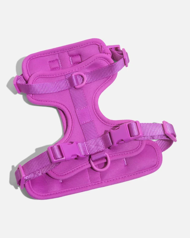 Wild One Adjustable Comfort Dog Harness - Image 26