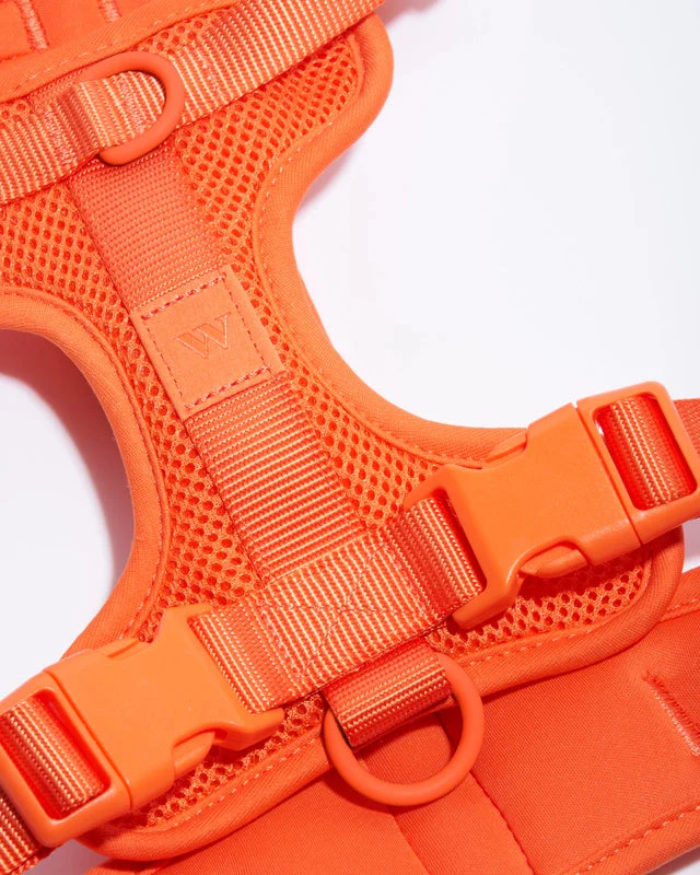 Wild One Adjustable Comfort Dog Harness - Image 29