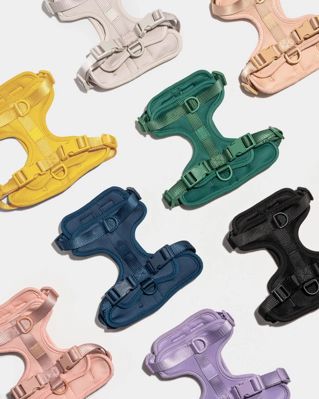 Wild One Adjustable Comfort Dog Harness - Image 31