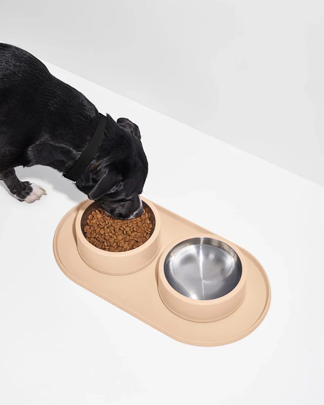 Wild One Silicon Dog Placemat (Bowls Not Included) - Image 9