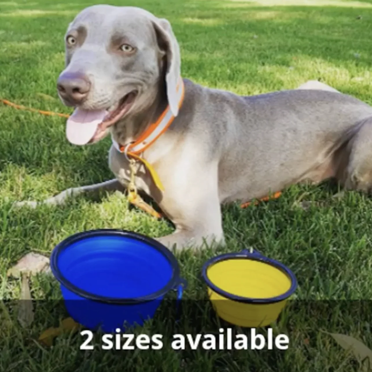 2 Pak XL 34oz Collapsible Travel Bowls for Larger Pets - Image 9
